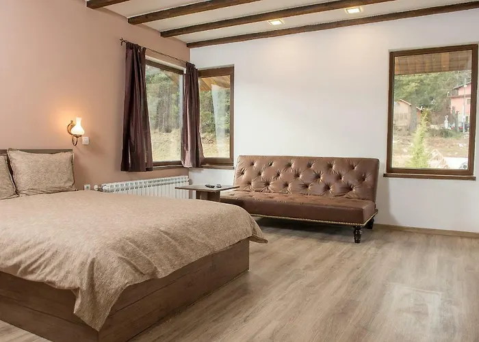 Lidia Guest house Tsigov Chark